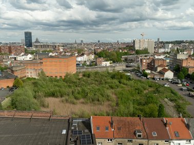 Marais Biestebroeck 9851 Credit IEB