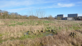 Friche Josaphat (source : Up&Cie Ingénieurs Conseils, 2024)