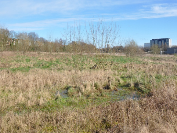 Friche Josaphat (source : Up&Cie Ingénieurs Conseils, 2024)