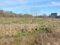 Friche Josaphat (source : Up&Cie Ingénieurs Conseils, 2024)